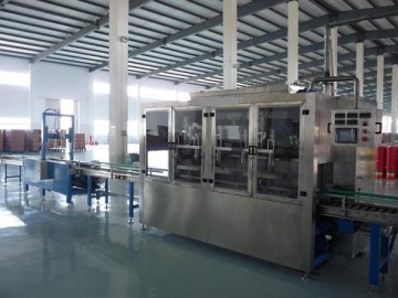 20L五工位全自动灌装压盖生产线